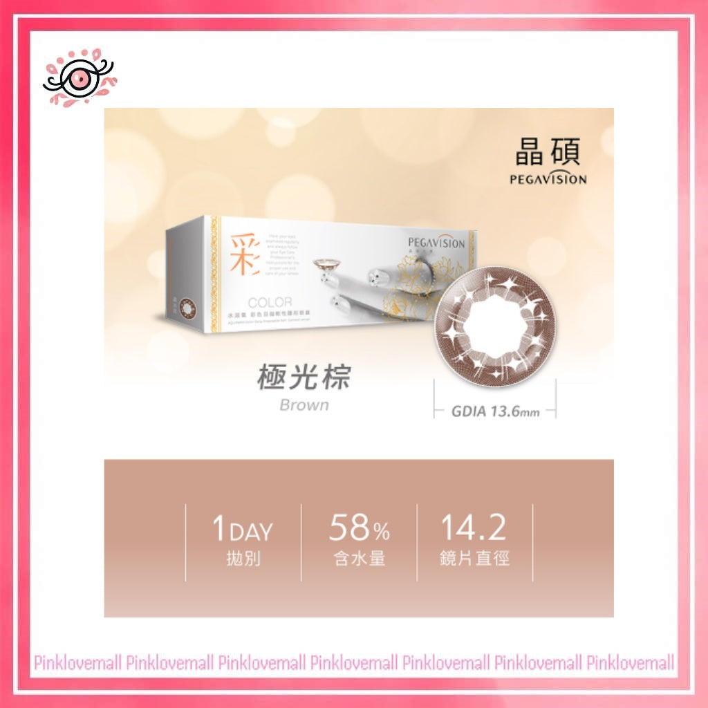 晶碩 Pegavision 彩色經典 極光棕|日拋彩妝隱形眼鏡|每盒20片