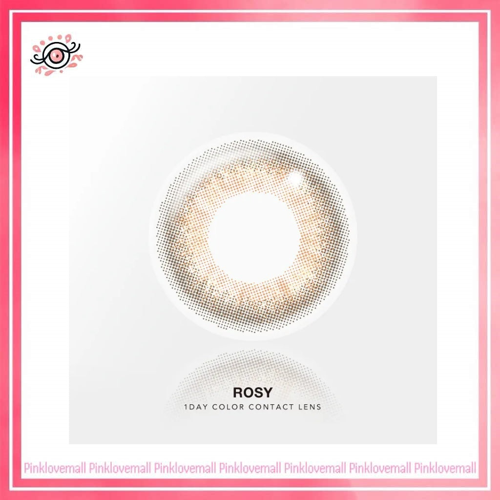 Quinlivan昆凌 聖光系列 1 Day ROSY 玫瑰棕|日拋彩妝隱形眼鏡|每盒10片