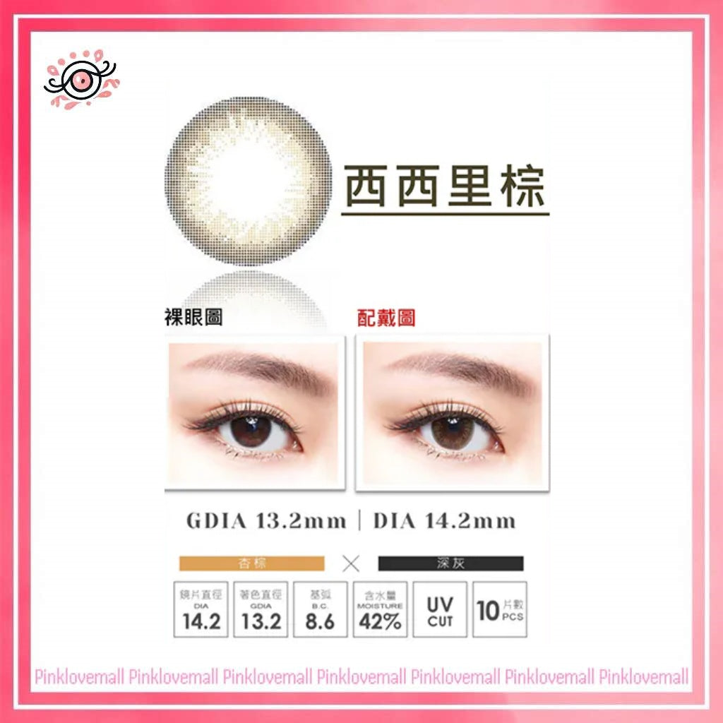 TICON帝康 MUSE 繆思女神 西西里棕｜日拋彩妝隱形眼鏡｜每盒10片