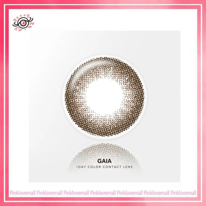 Quinlivan昆凌 經典系列 1 Day GAIA 1 大地棕｜日拋彩妝隱形眼鏡｜每盒10片
