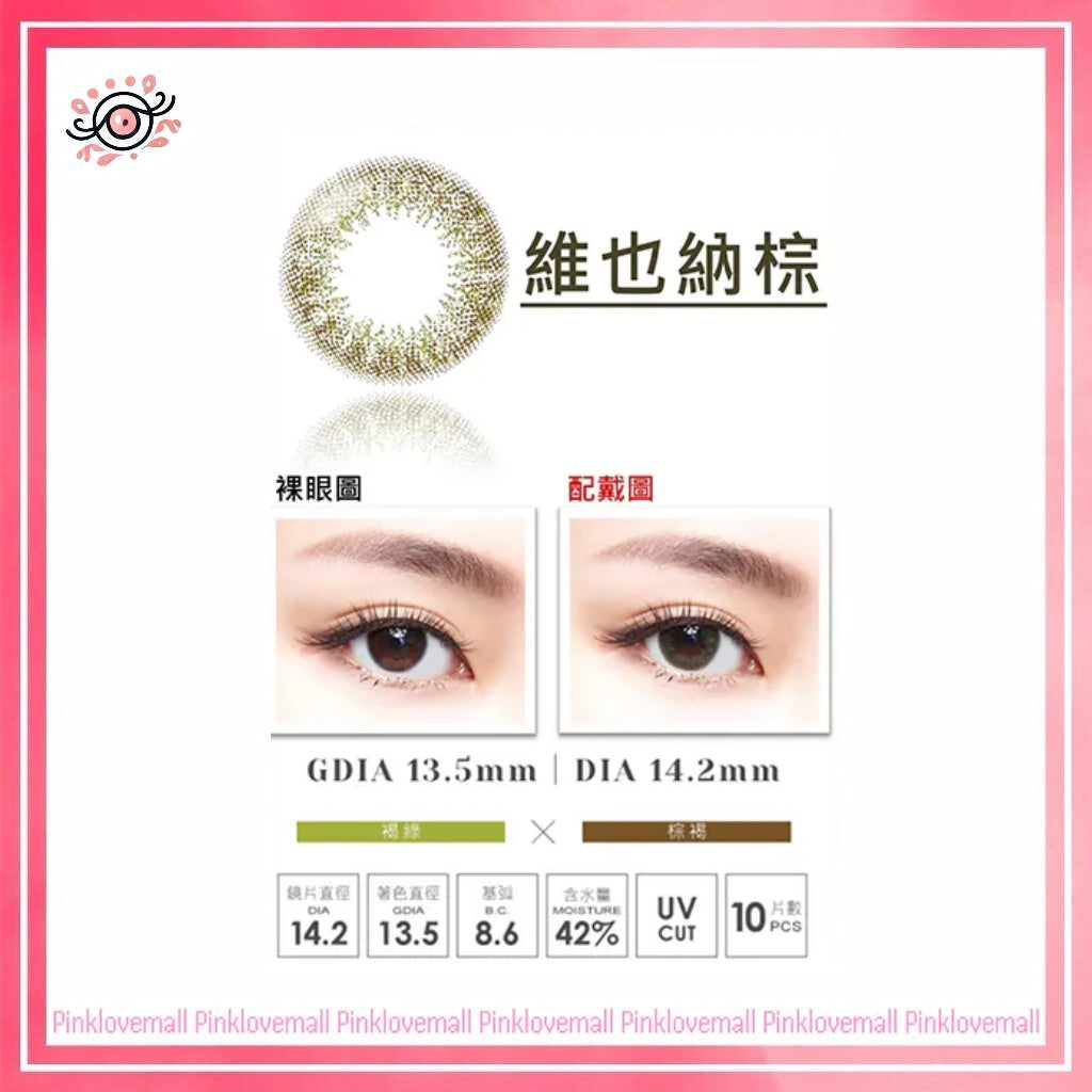 TICON帝康 MUSE 繆思女神 維也納棕｜日拋彩妝隱形眼鏡｜每盒10片