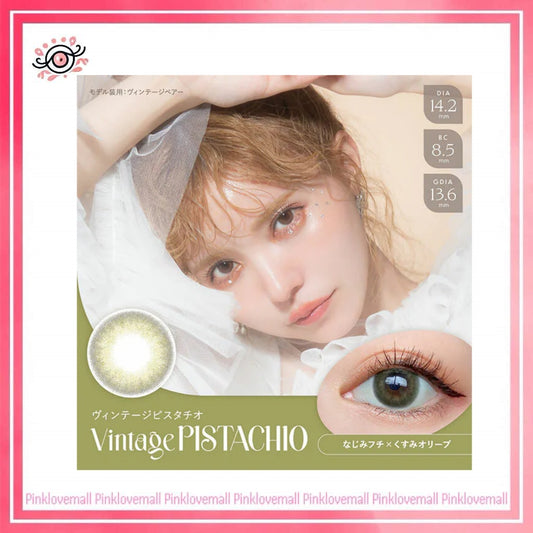 AngelColor Bambi Series 1 Day Vintage Pistachio｜日拋彩妝隱形眼鏡｜每盒10片