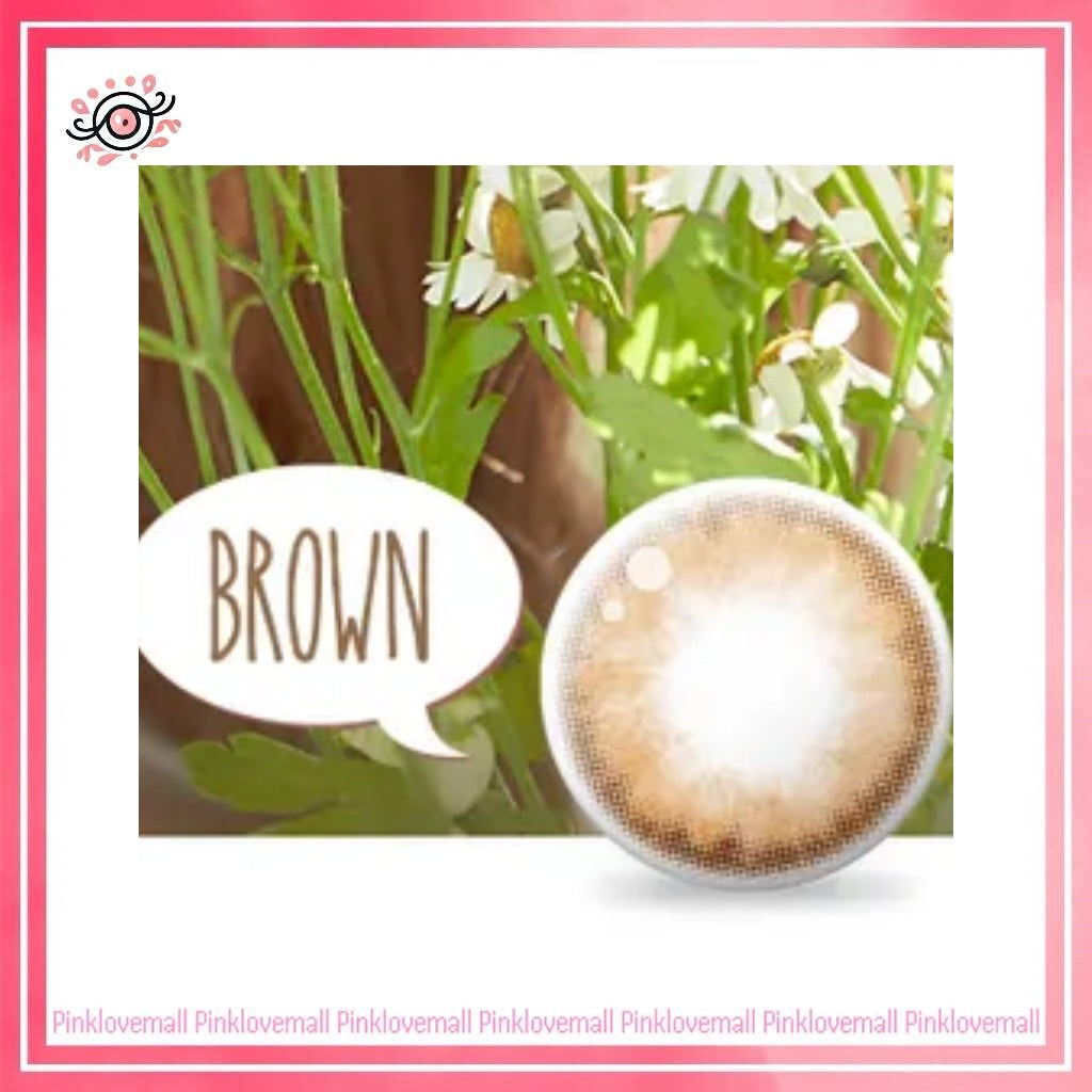 Lenstown Pocopong Brown｜月拋彩妝隱形眼鏡｜每盒1片