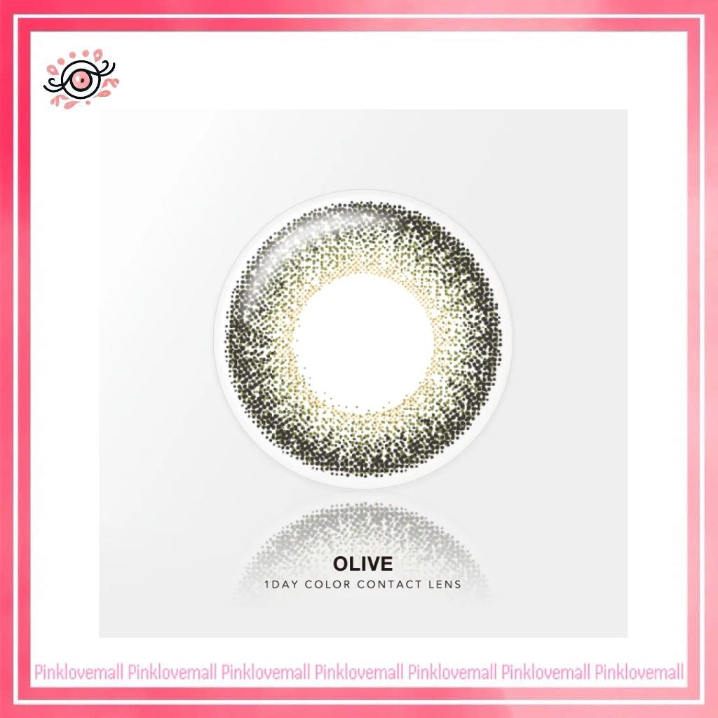 Quinlivan昆凌 經典系列 1 Day OLIVE 1橄欖綠｜日拋彩妝隱形眼鏡｜每盒10片