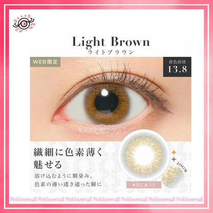 Secret Candy Magic 1 Day Light Brown｜日拋彩妝隱形眼鏡｜每盒20片