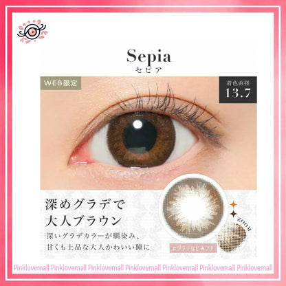 Secret Candy Magic 1 Day Sepia 日拋彩妝隱形眼鏡｜每盒20片